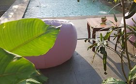 Yoga House Ubud Bali
